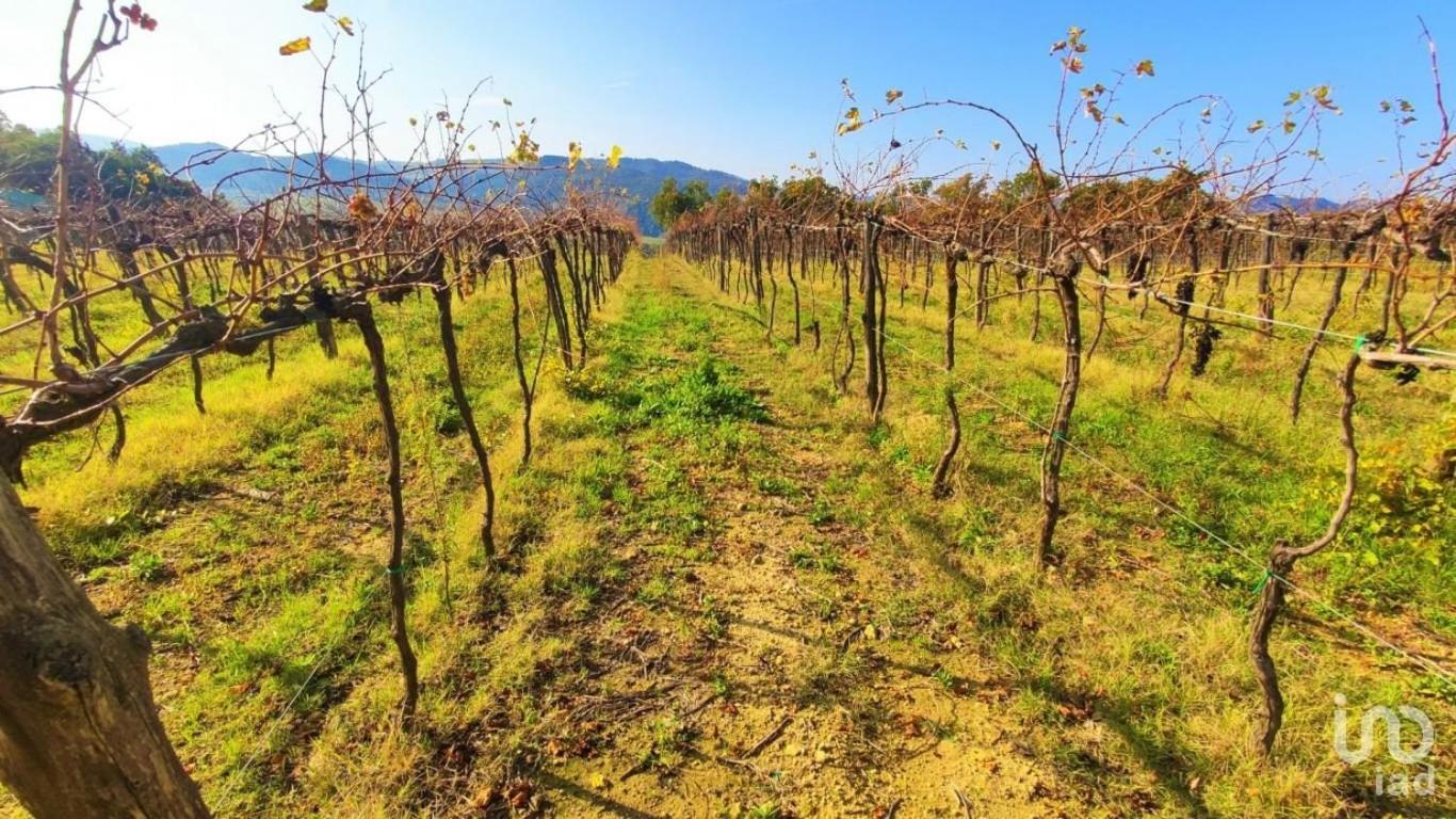 Podere Mona Помаранче Экстерьер фото
